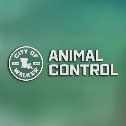 Animal Control